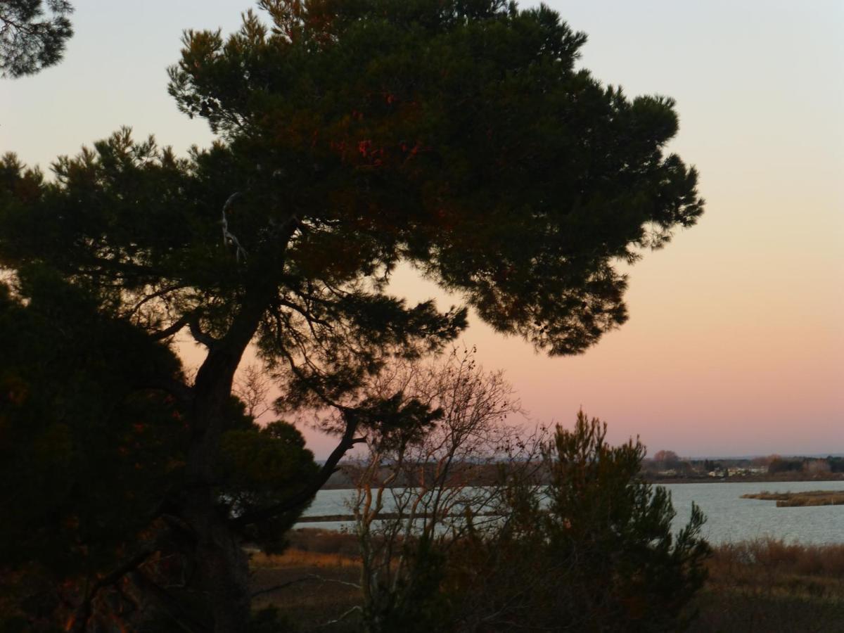 La Maison Du Mole Aigues-Mortes Εξωτερικό φωτογραφία