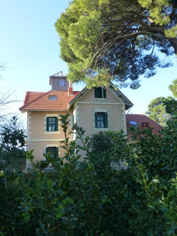 La Maison Du Mole Aigues-Mortes Εξωτερικό φωτογραφία